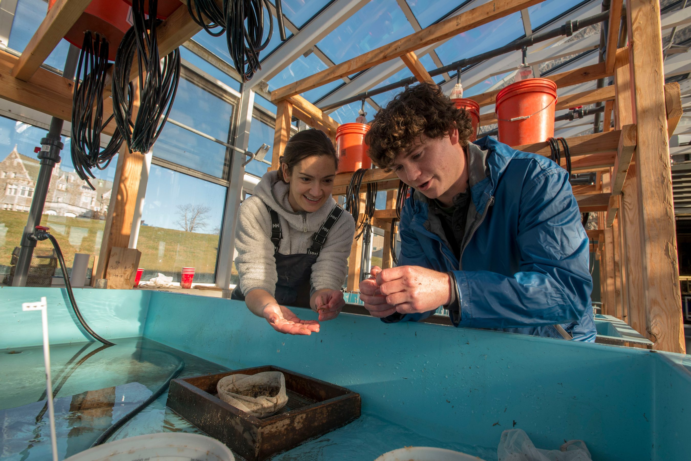 Sean Ryan Ph.D. student and Assistant Professor Catherine Matassa working on a research project at UConn Avery Point