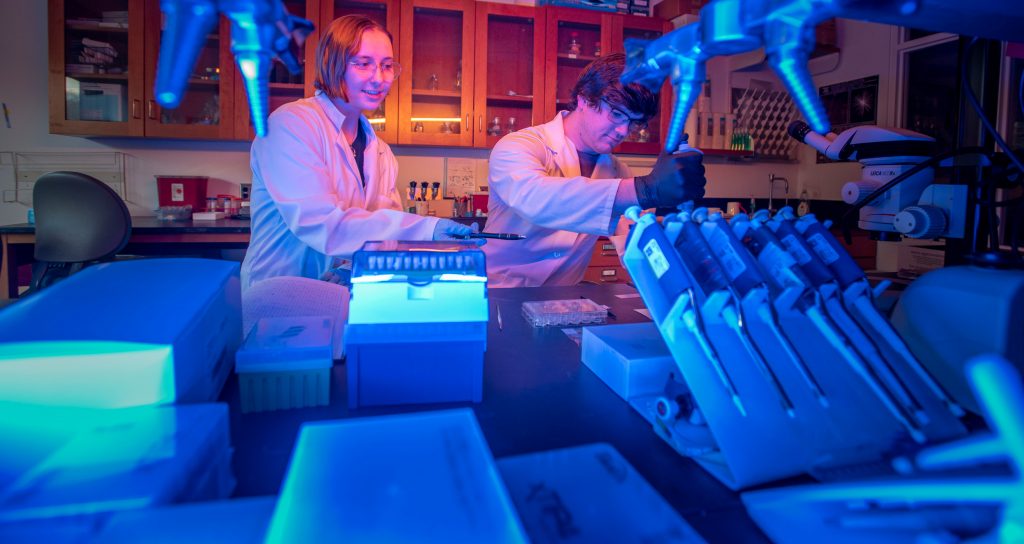 A male and female scientist working in a laboratory.
